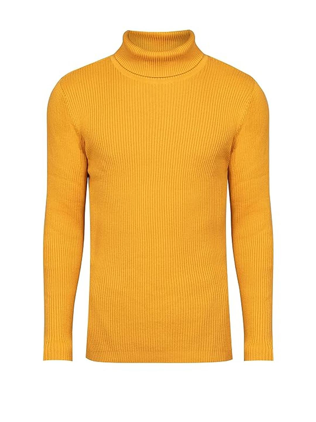 CLOTHIFY Boys Turtle Neck Pullover