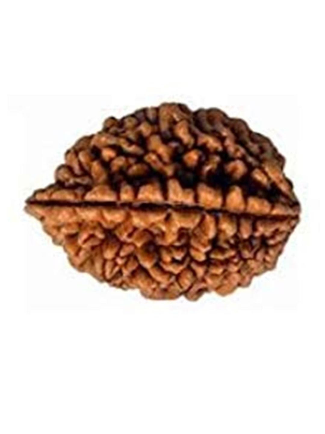 RAVIOUR LIFESTYLE Circular Wood Rudraksha Pendant