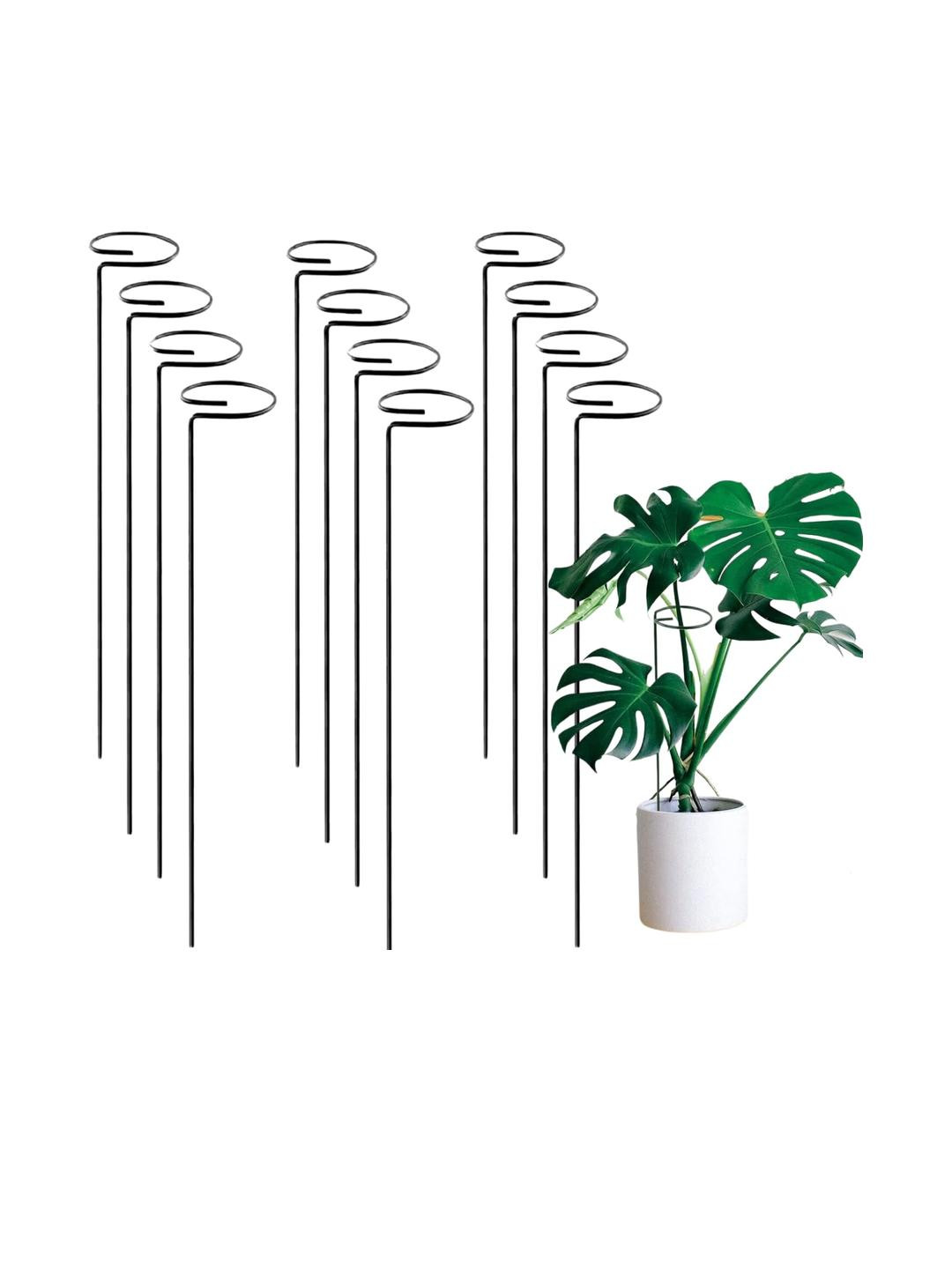 Go Hooked Pack of 12 Black Metal Plant Stakes 16 inches