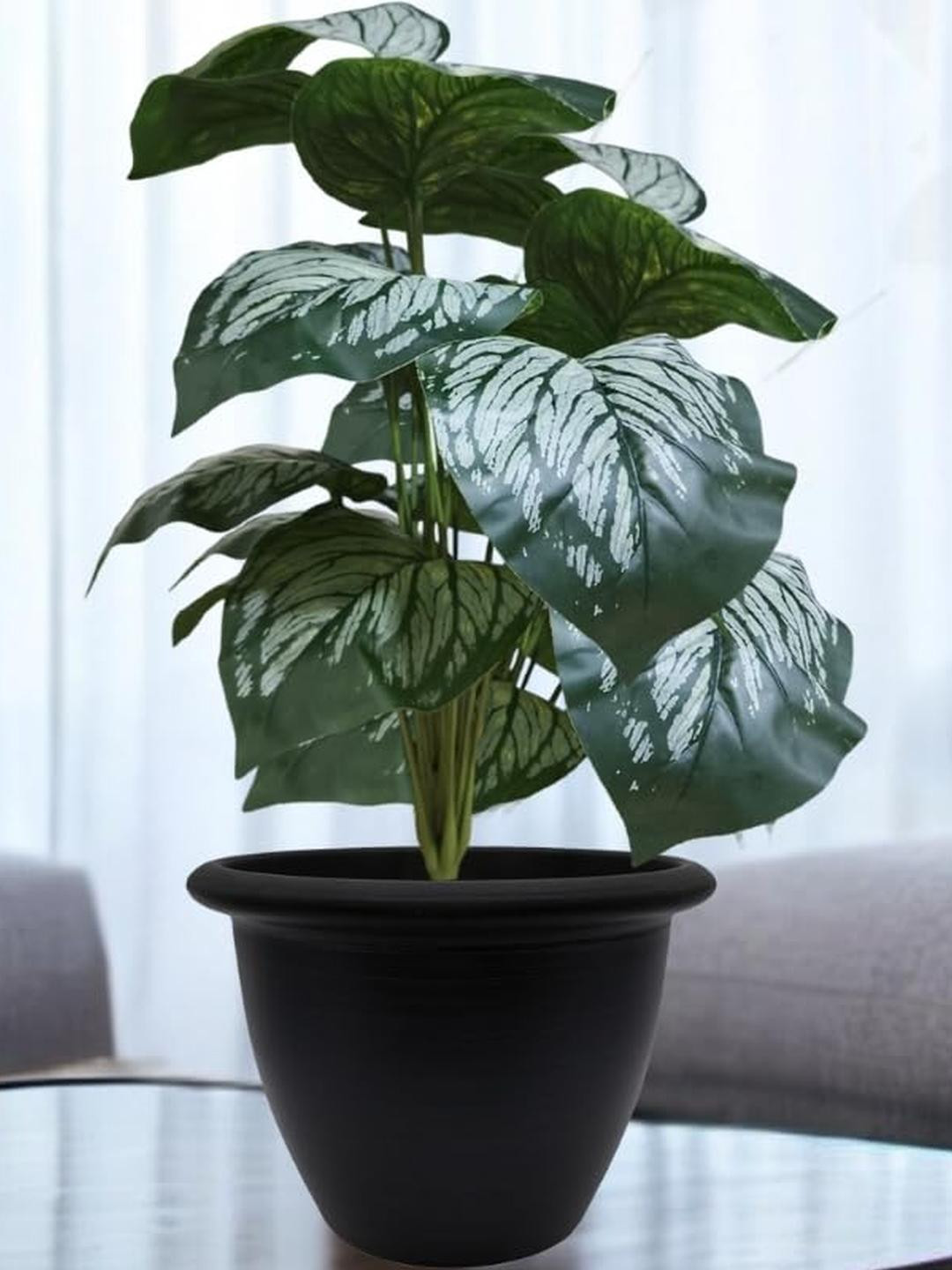 Go Hooked Artificial Monstera Dubia Plant with Nursery Pot