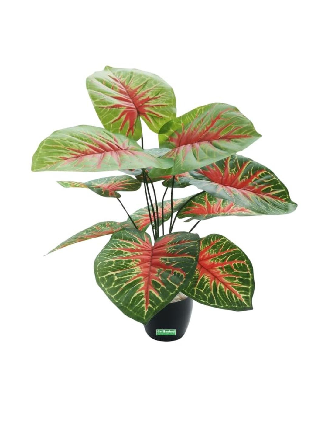 Go Hooked Artificial Plant With Complimentary Pot