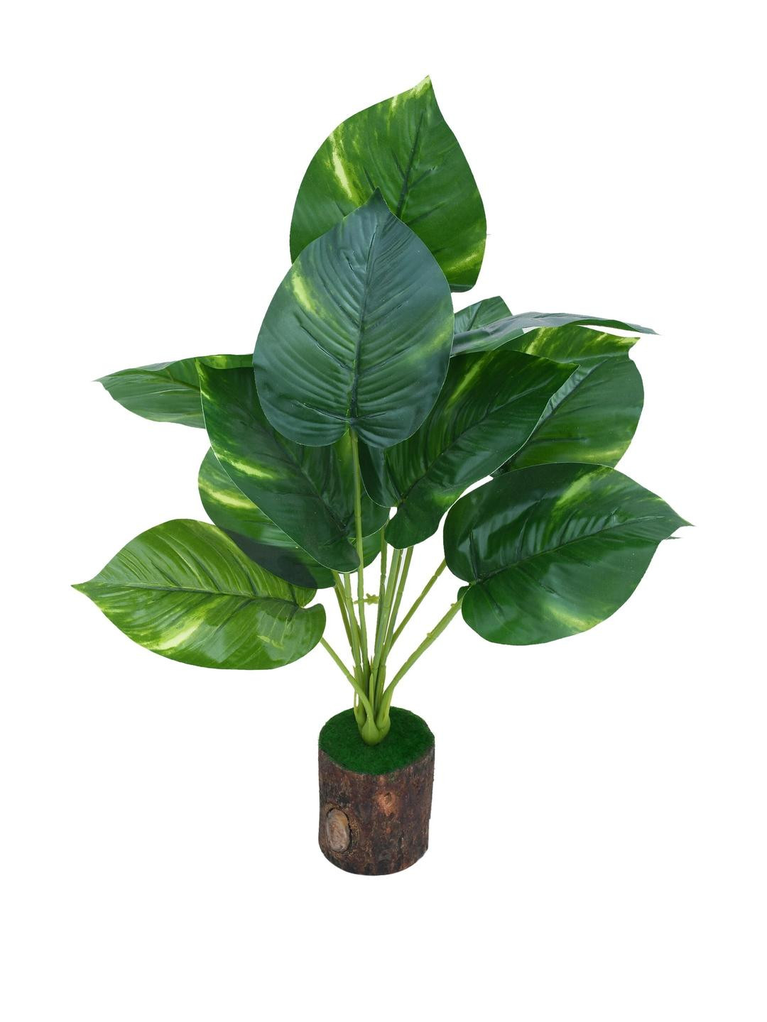 YASH ENTERPRISES Green 1 Pieces Gardenia Money Artificial Plant With Pot
