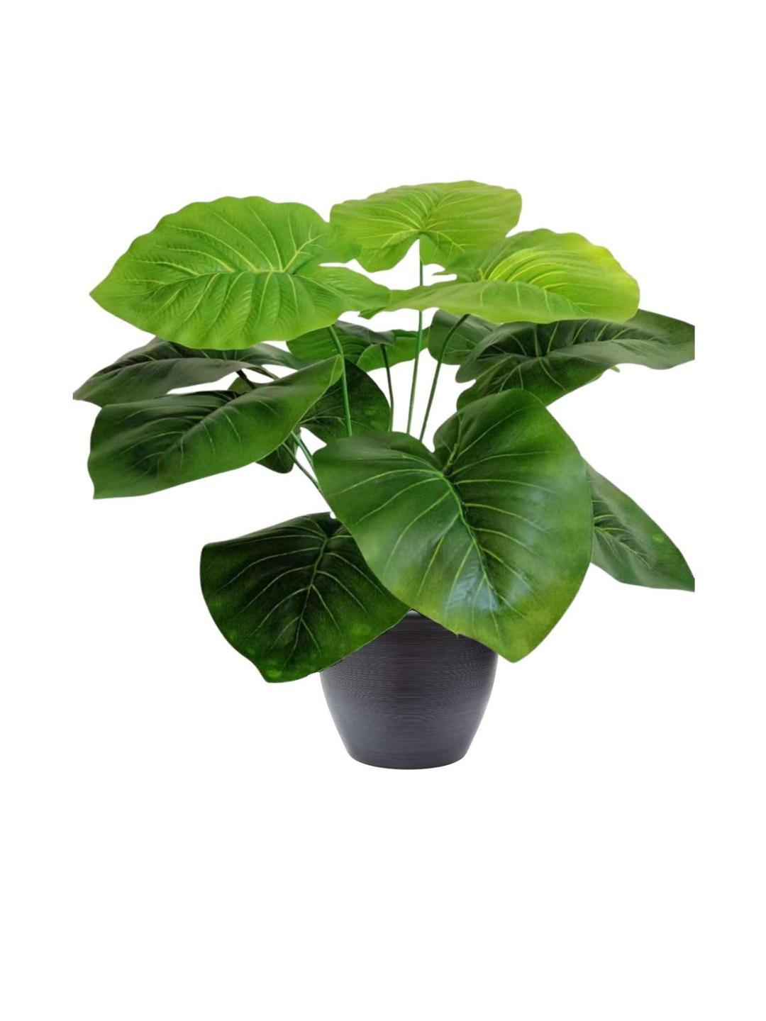 Go Hooked Artificial Philodendron Plant with Complimentary Nursery Pot