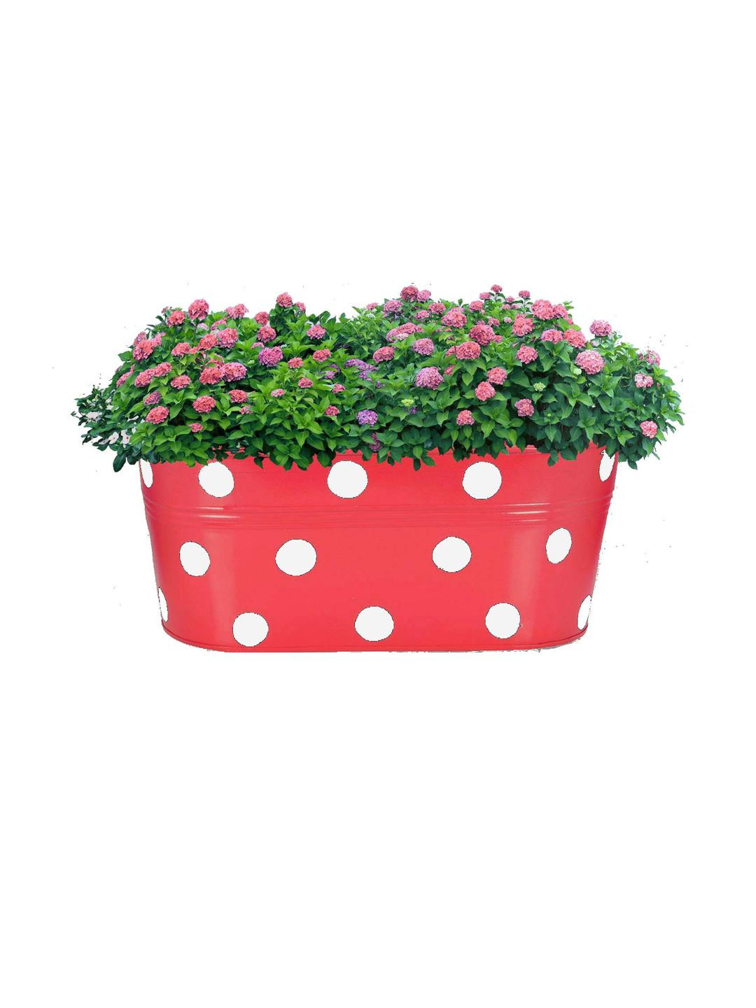 Metal Hanging Planter | Metal Railing Planter (12 Inch, Red)
