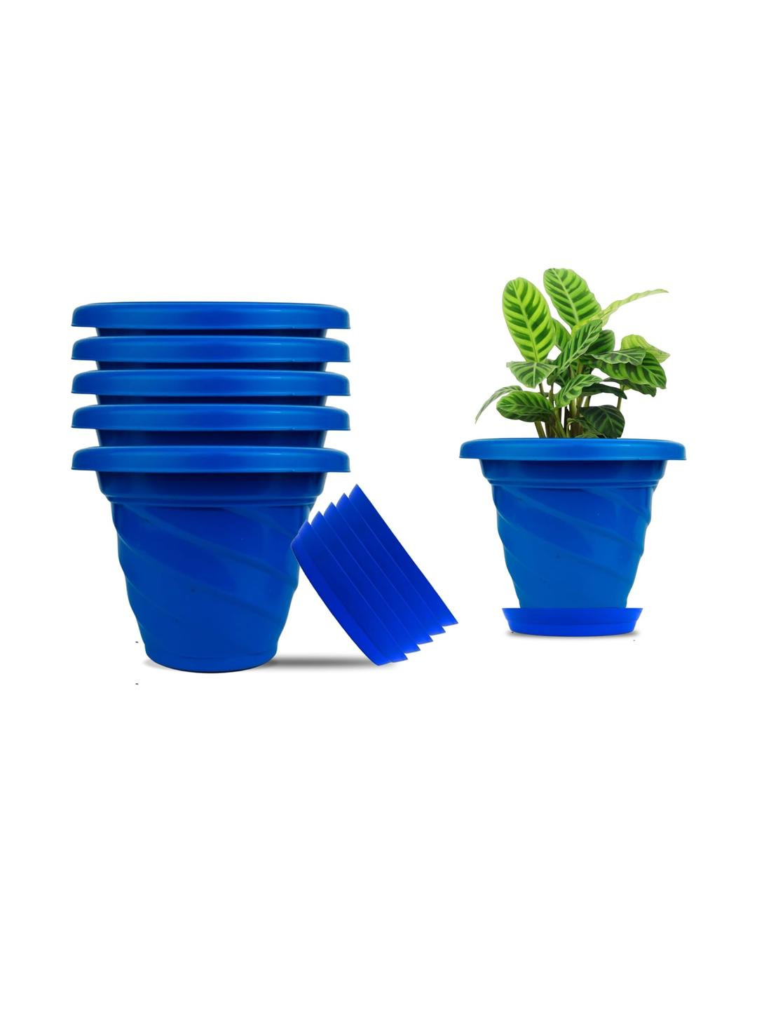 Go Hooked Set of 6 Blue Color Indoor & Outdoor Plants