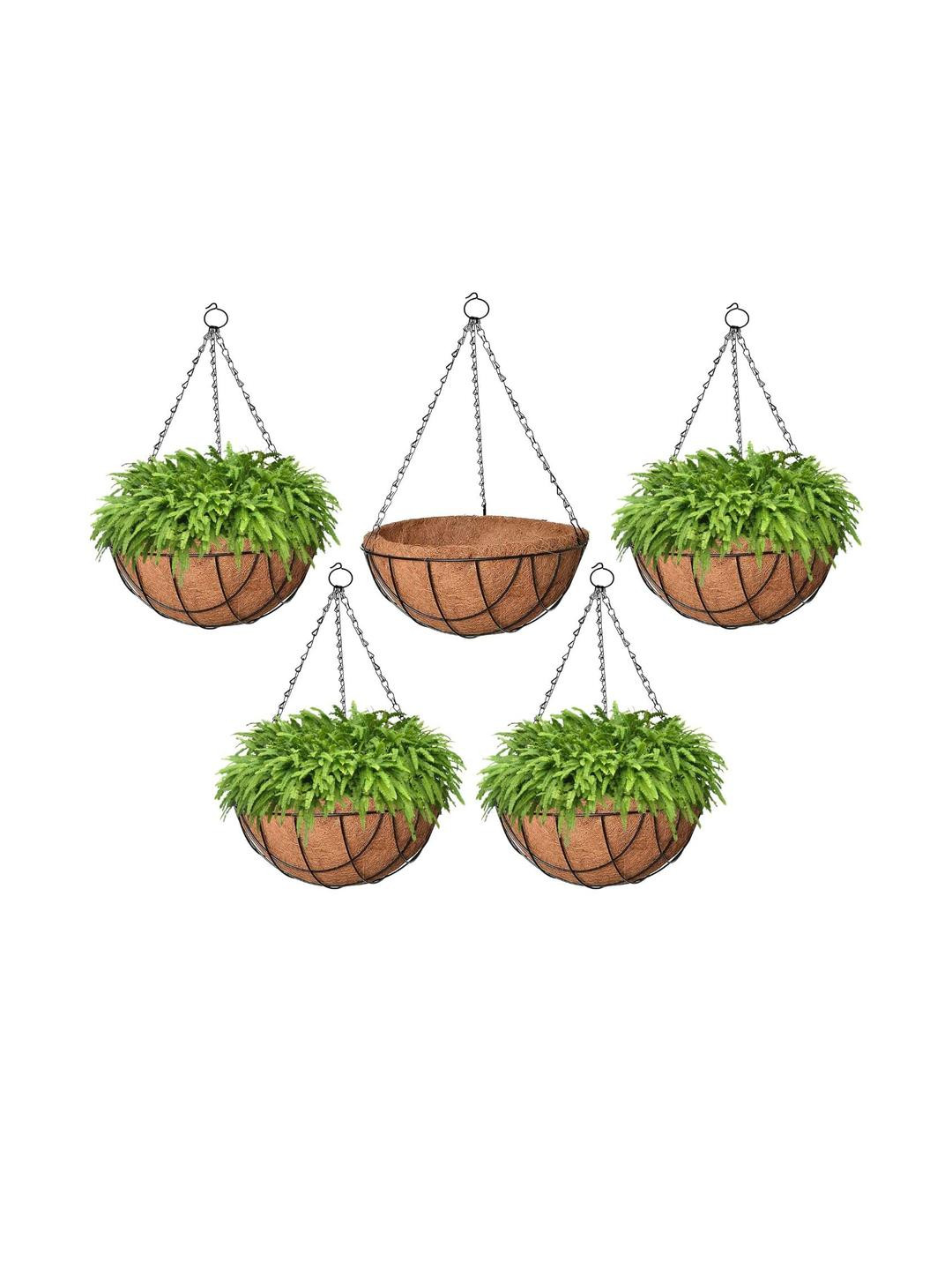 10 Inch Coir Hanging Basket with Metal Hanging Chain