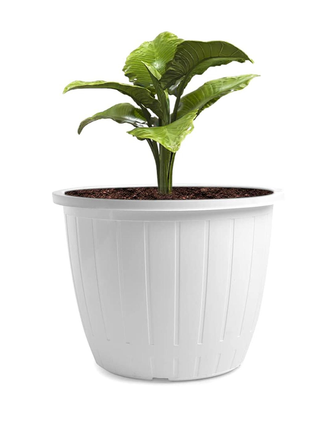 Duro Pot 10 Inch for Indoor & Outdoor Plants