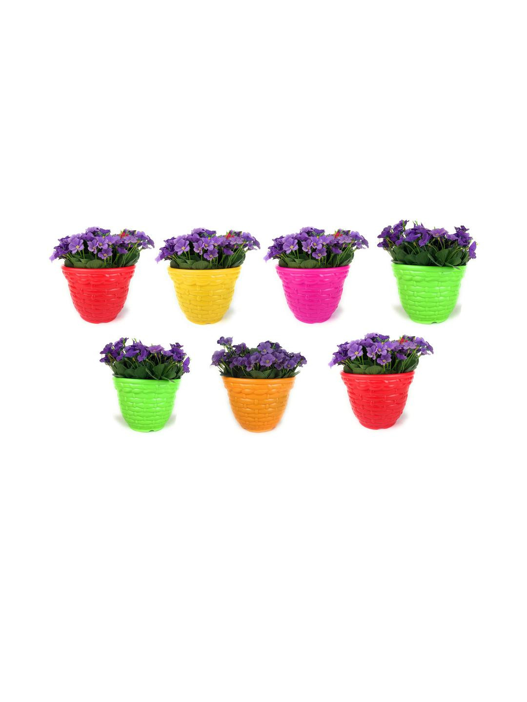 Go Hooked Pack of 7 Indoor & Outdoor Plants