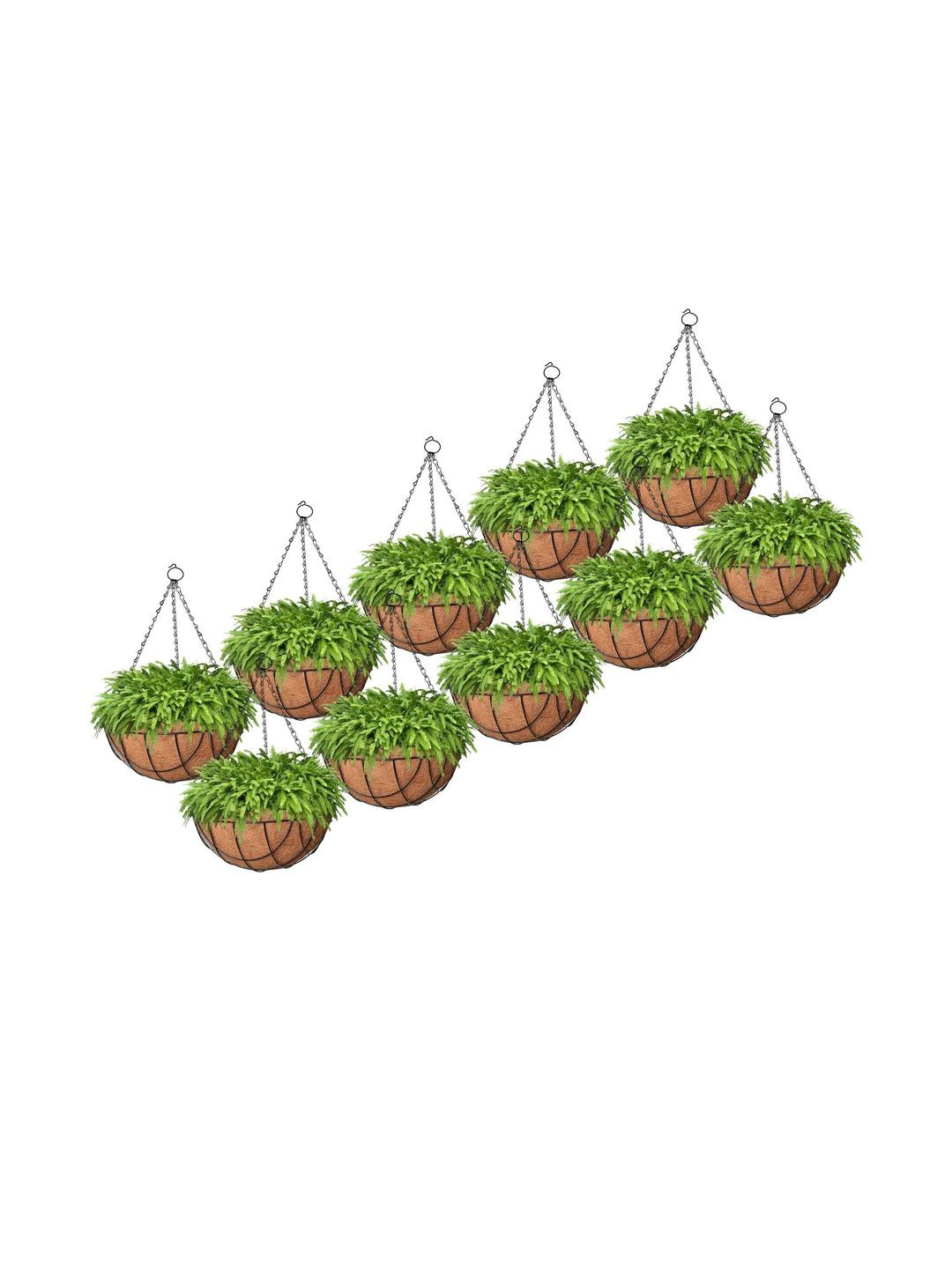 10 Inch Coir Hanging Basket with Metal Hanging Chain