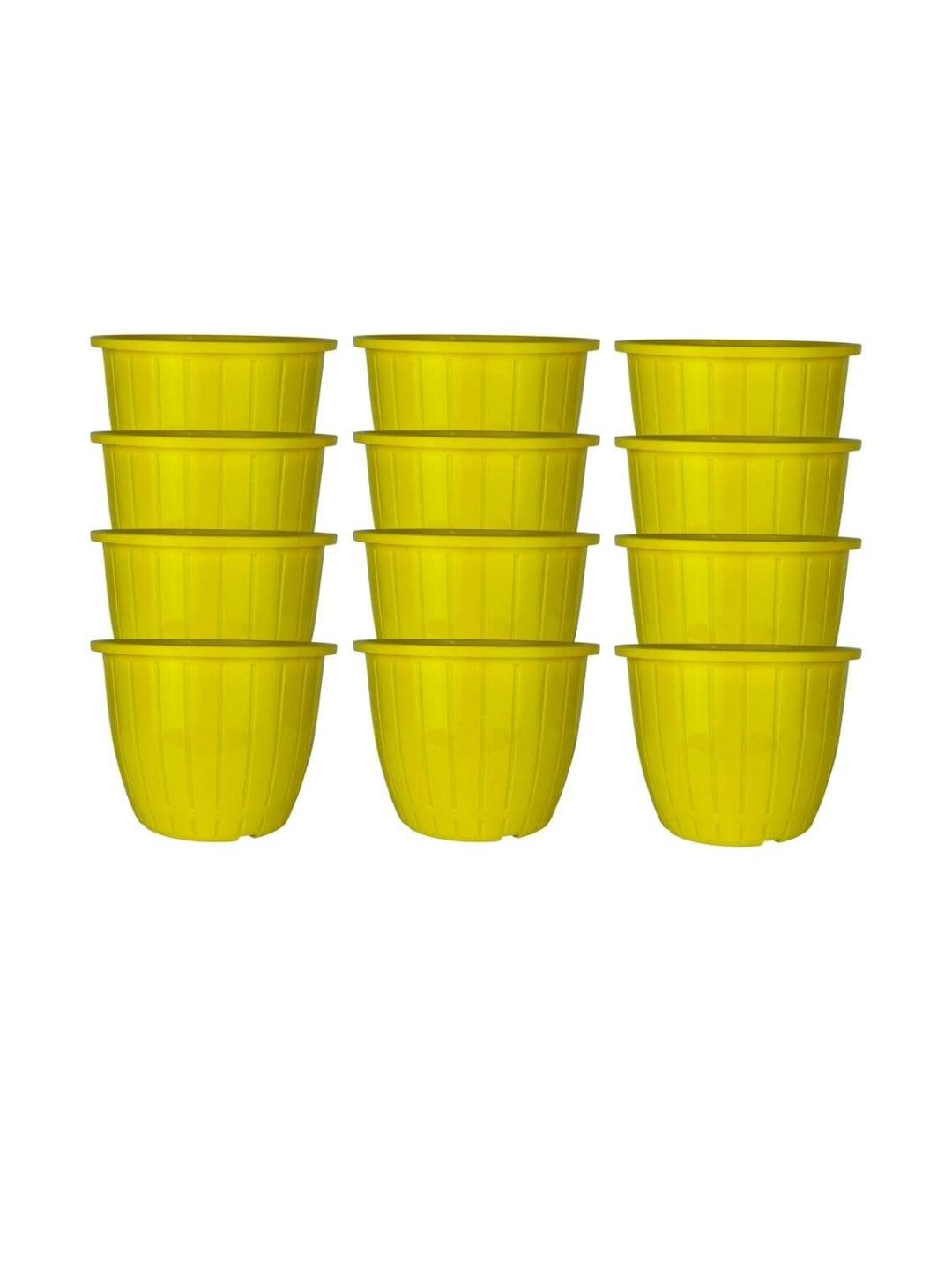 Go Hooked Pack of 12 Indoor & Outdoor Plants