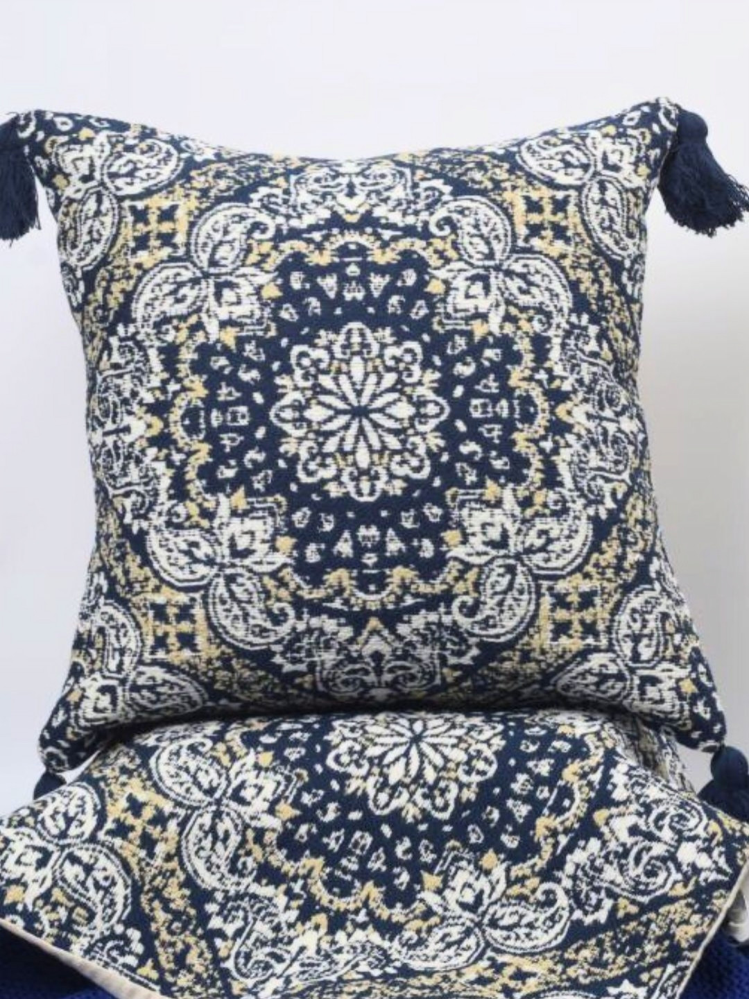The Gharnish Blue & Beige 2 Pieces Ethnic Motifs Paisley Square Cushion Covers