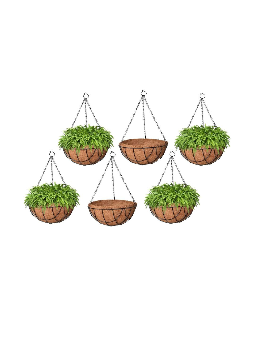 8 Inch Coir Hanging Basket with Metal Hanging Chain