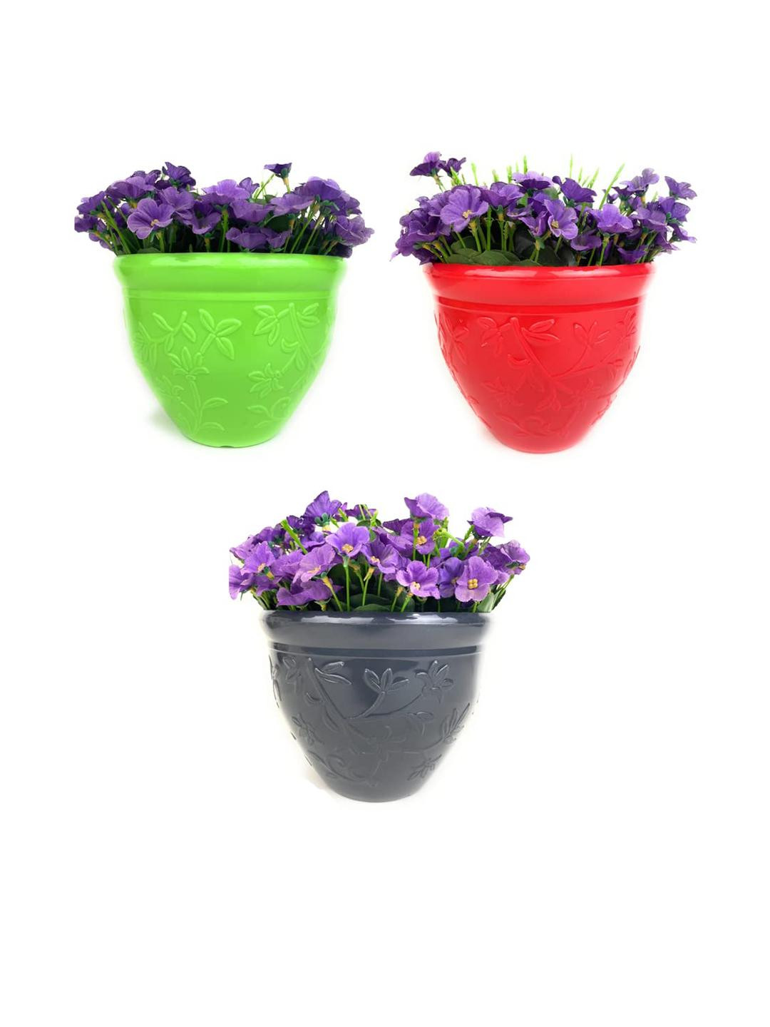 Go Hooked Pack of 3 Indoor & Outdoor Plants