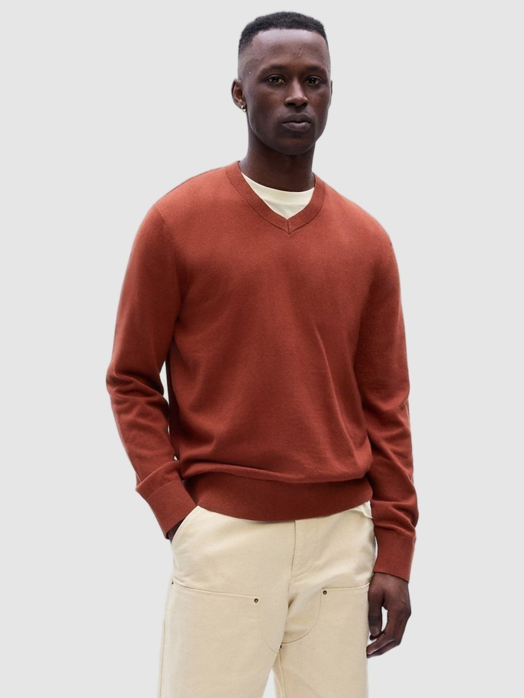 GAP Men Pure Cotton V-Neck Pullover Sweaters