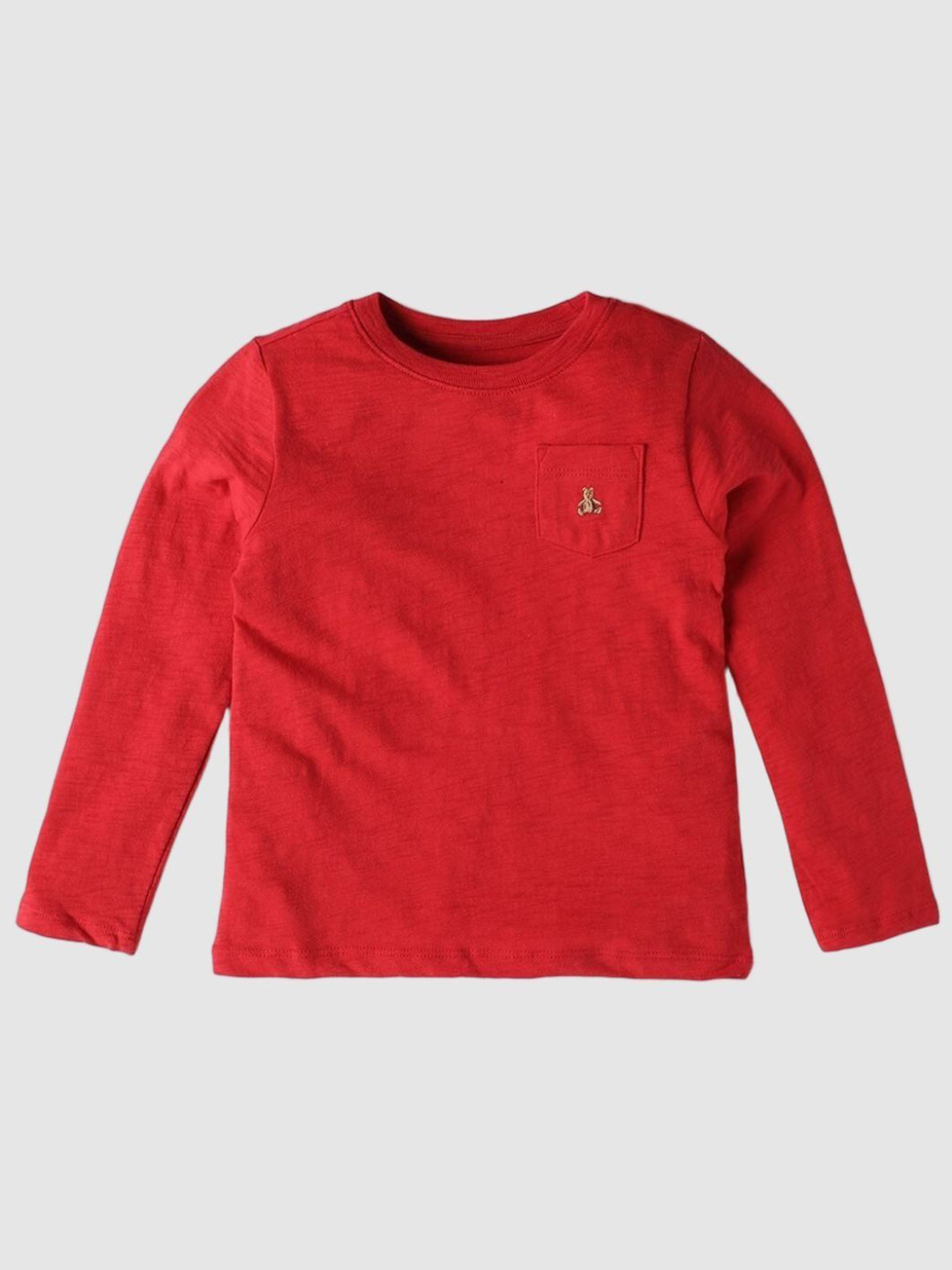 GAP Boys Brannan Bear Full-Sleeve Pure Cotton T-Shirt