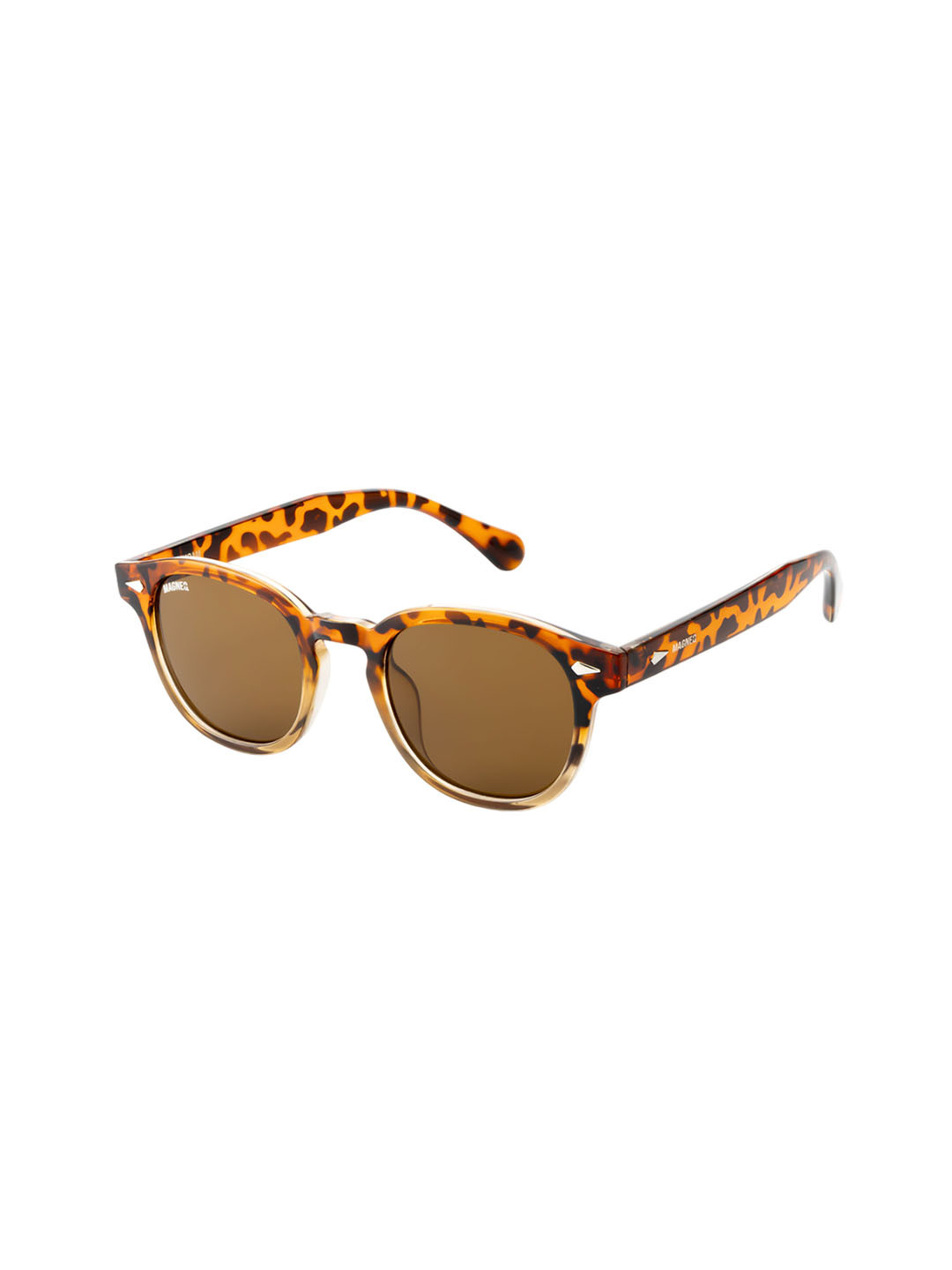MAGNEQ Unisex Leopard Print Round Sunglasses 5095/S C3