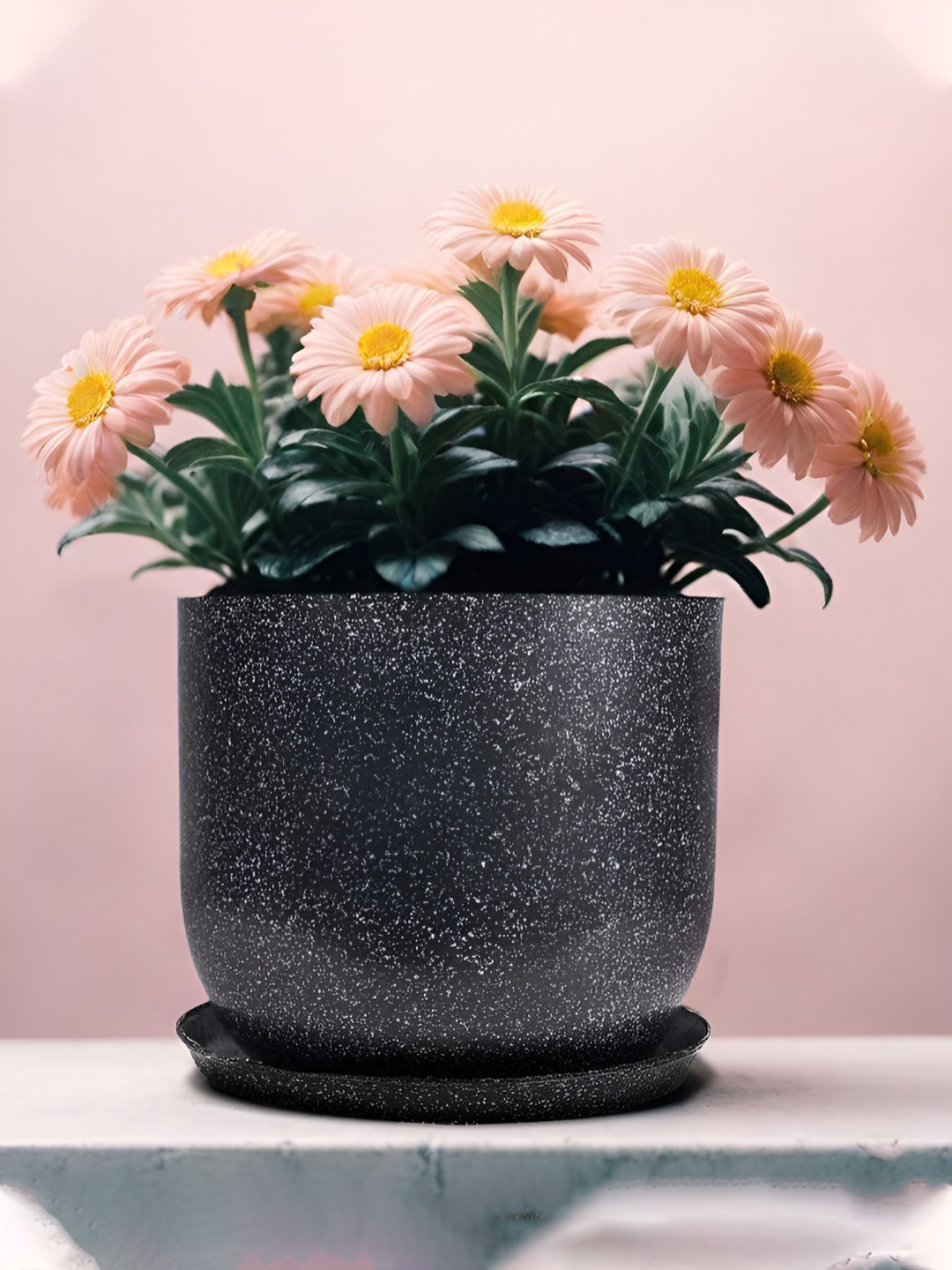RUBOXA Marble Jaguar Black UV-Protected Planters With Tray