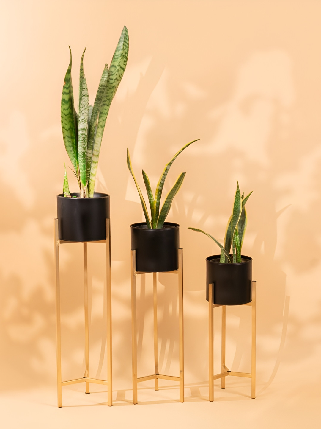 THREADVIBE LIVING 3Pcs Black & Yellow Metal Plant Stand With Planters