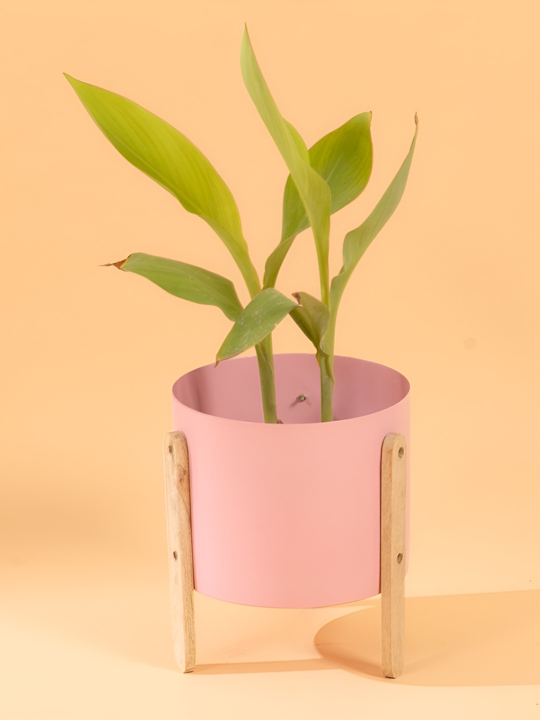 THREADVIBE LIVING Brown & Pink Modern Round Metal Pot With Wooden Stand