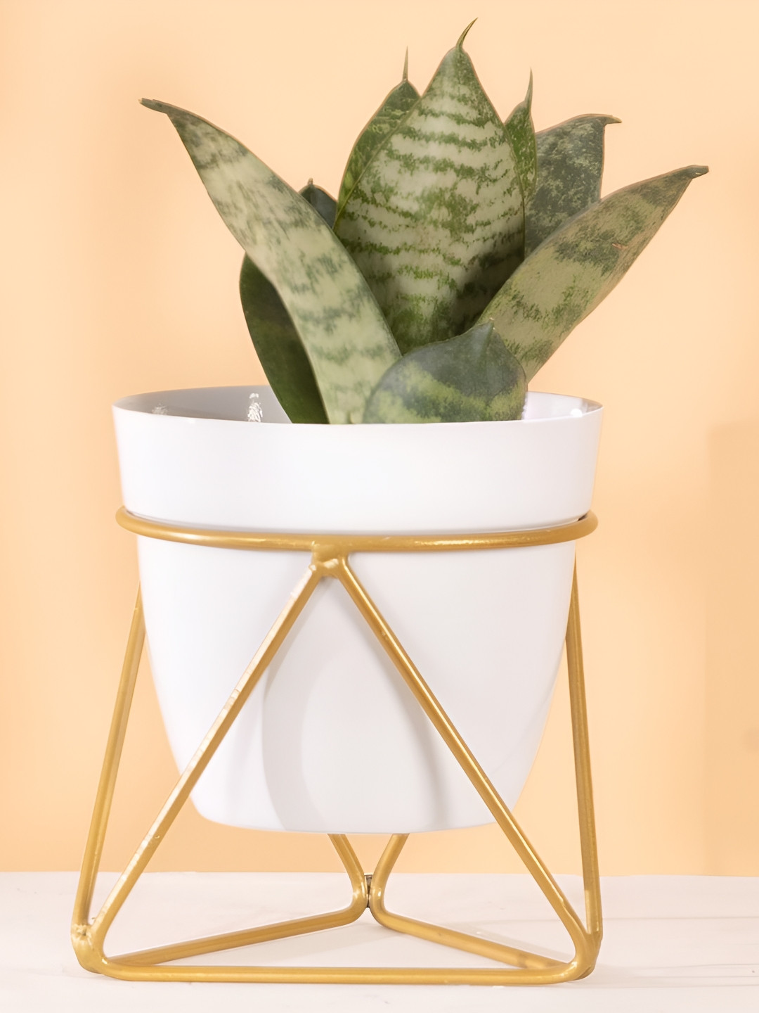 THREADVIBE LIVING White Metal Pots With Single Golden Metal Plant Stand