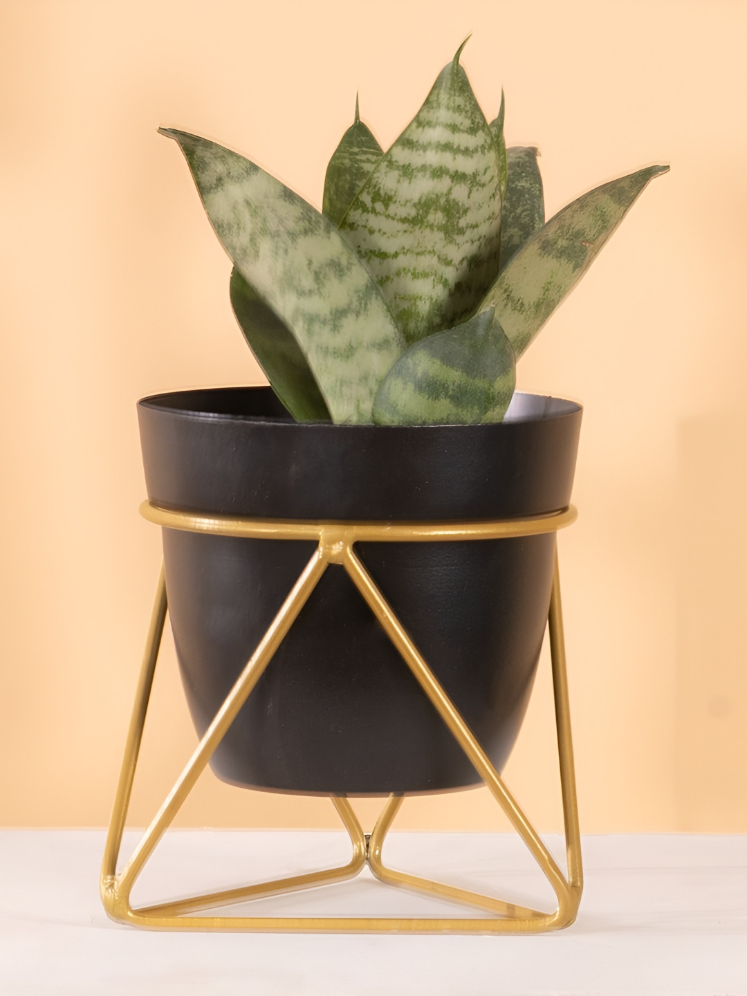 THREADVIBE LIVING Black & Yellow Single Pot Plant Stand