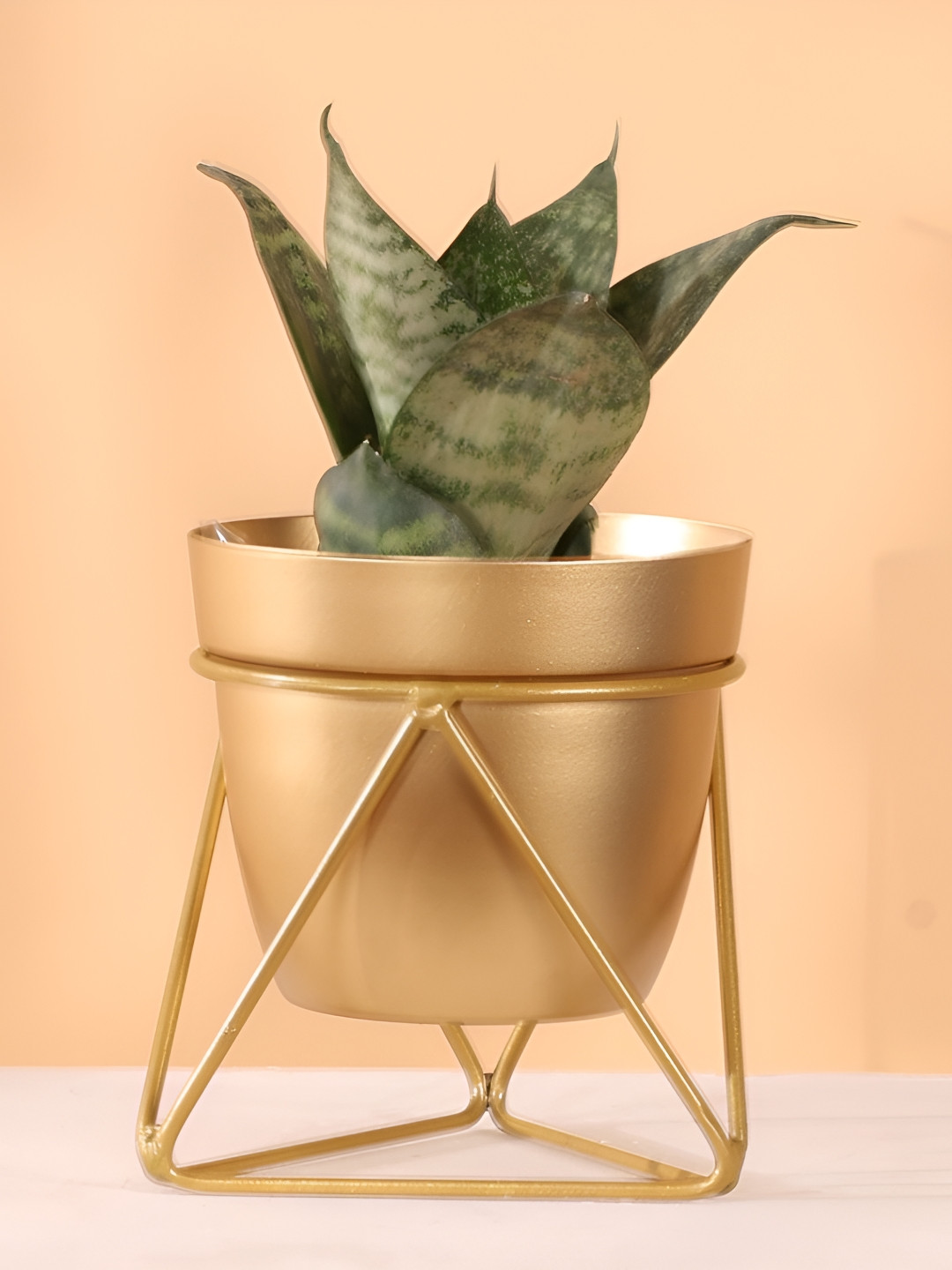 THREADVIBE LIVING Yellow Metal Pots With Single Golden Metal Plant Stand In Sunlit Aura
