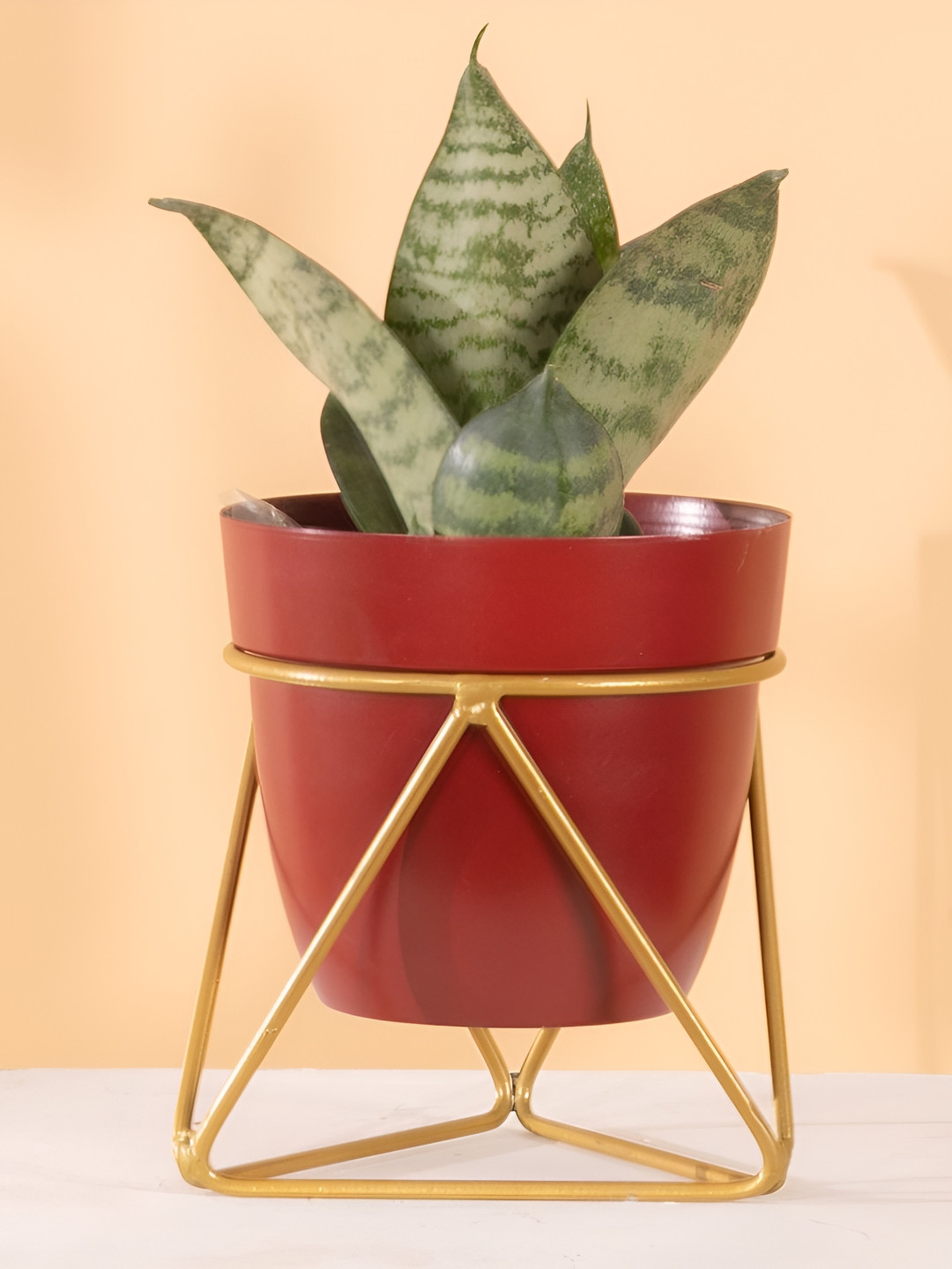 THREADVIBE LIVING Maroon & Yellow Single Golden Metal Pot Plant Stand In Mahogany