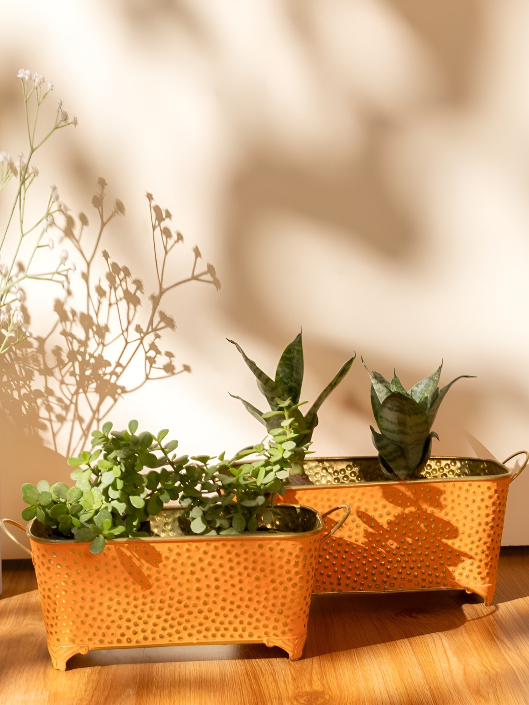 THREADVIBE LIVING Orange-Colored & Yellow Polka Dotted Long Basket Planters