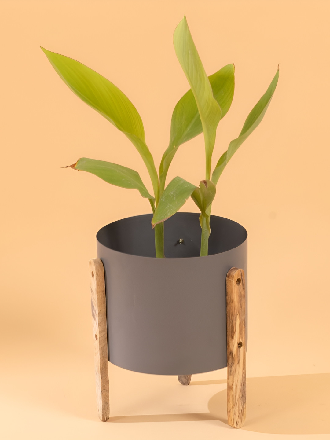 THREADVIBE LIVING Grey & Brown Modern Round Metal Pot With Wooden Stand