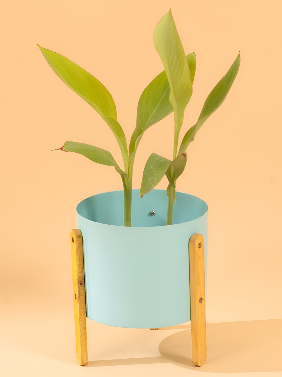 THREADVIBE LIVING Blue & Brown Modern Round Pot With Wooden Stand