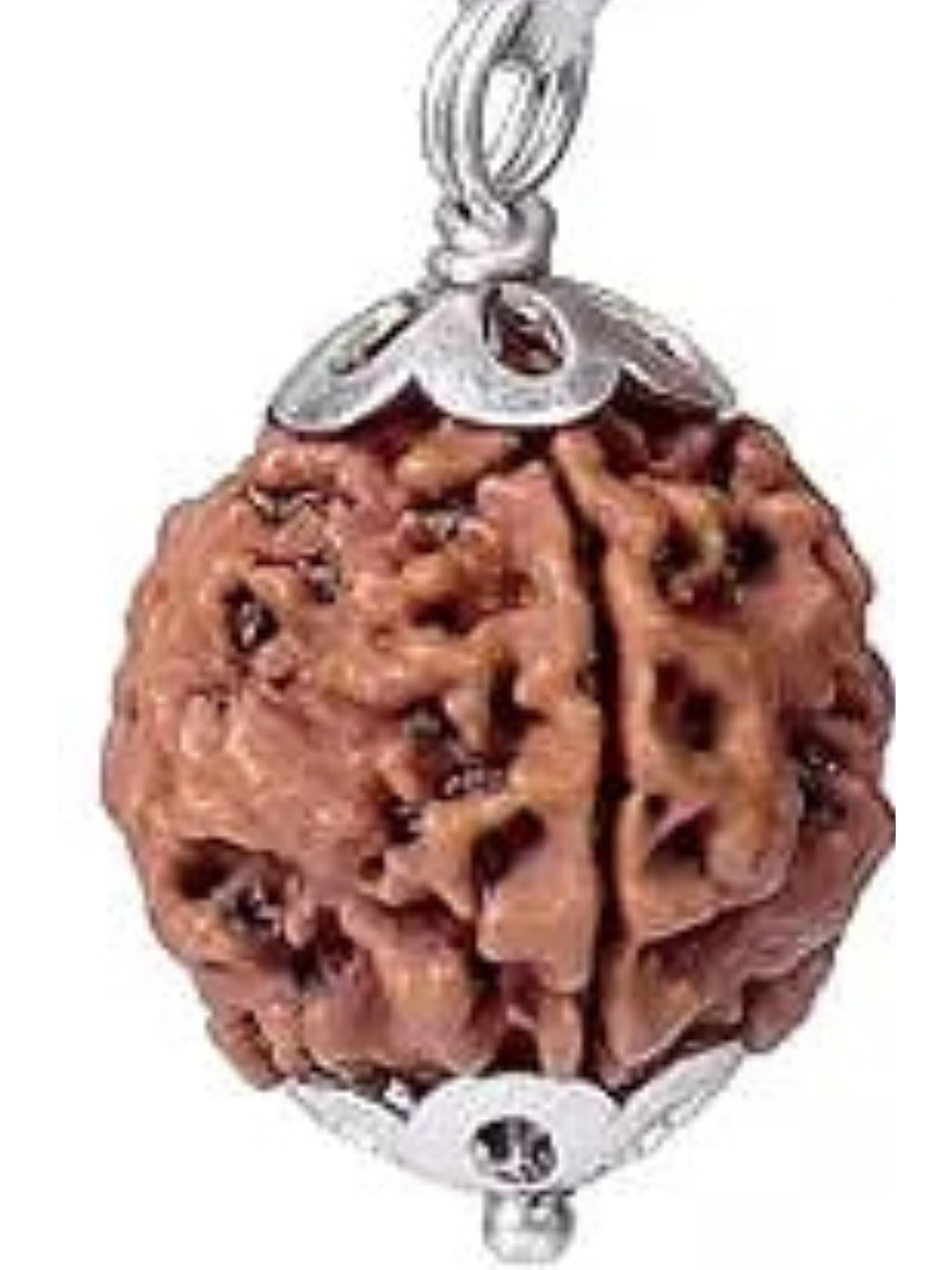 GenZcomplex Unisex 4 Mukhi Lab Certified Nepali Rudraksha Contemporary Wooden Pendant