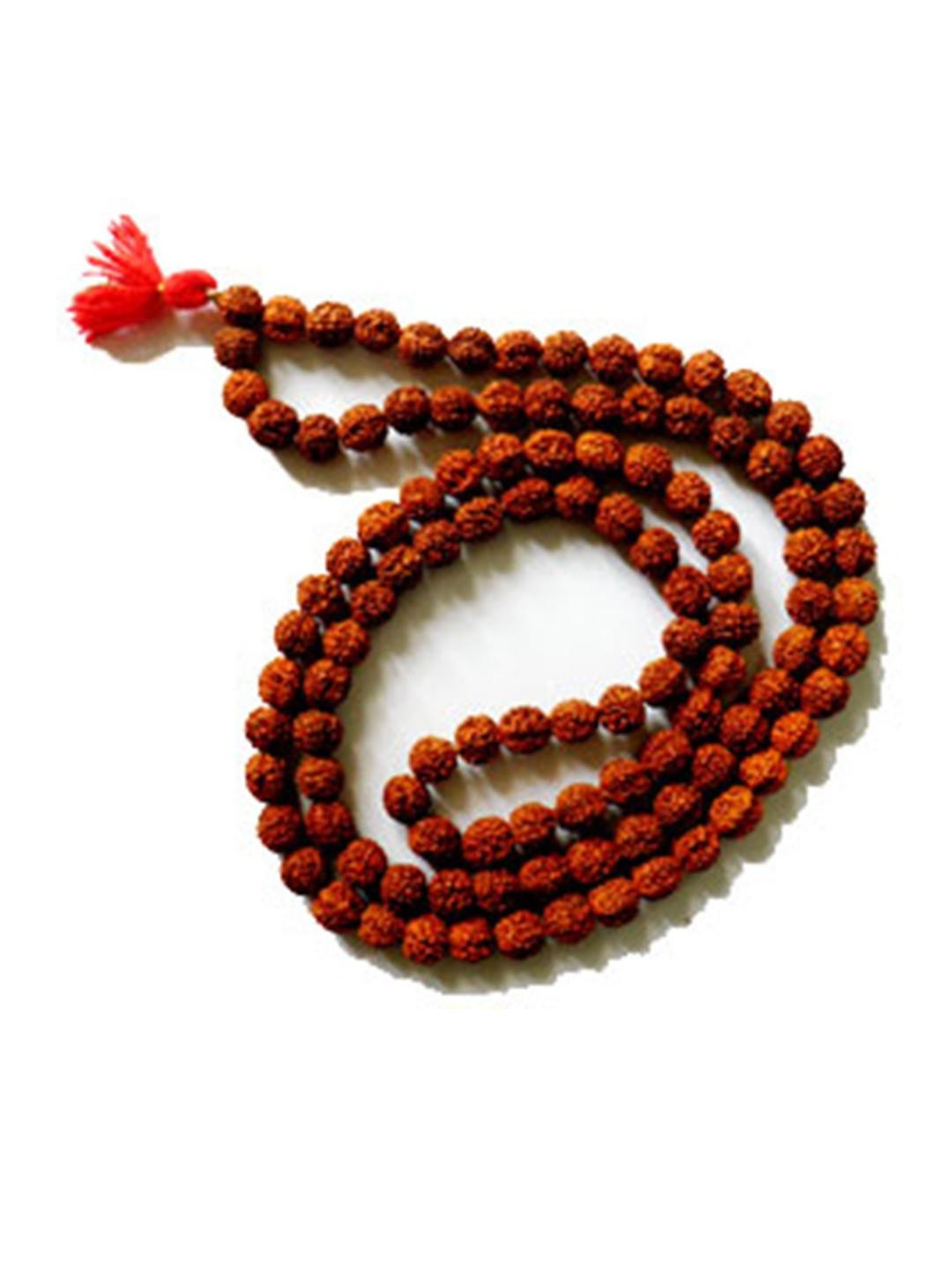 RAVIOUR LIFESTYLE Unisex Brown Necklace and Chains