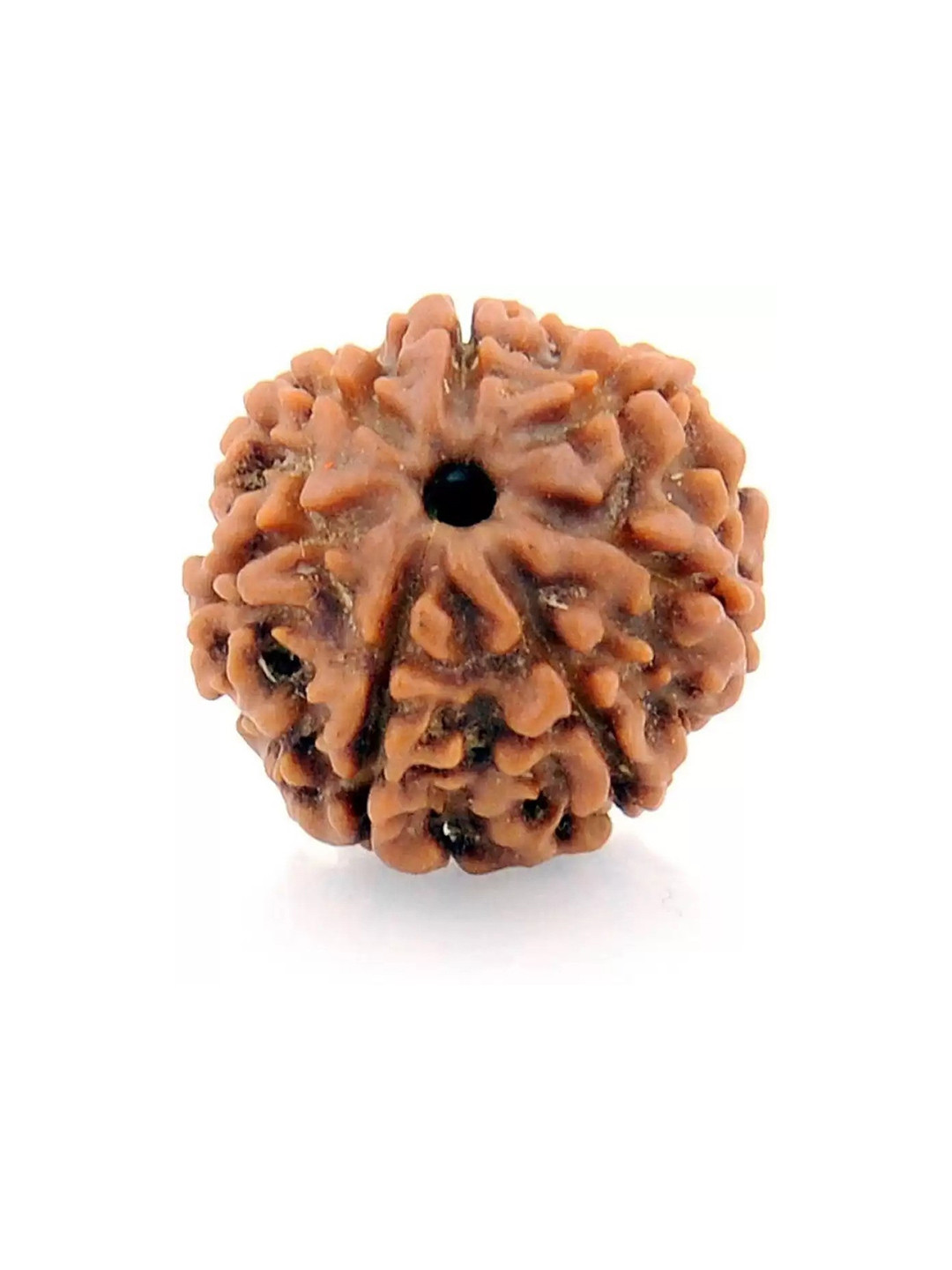GenZcomplex Unisex Saat Mukhi Circular Shaped Rudraksha Pendant