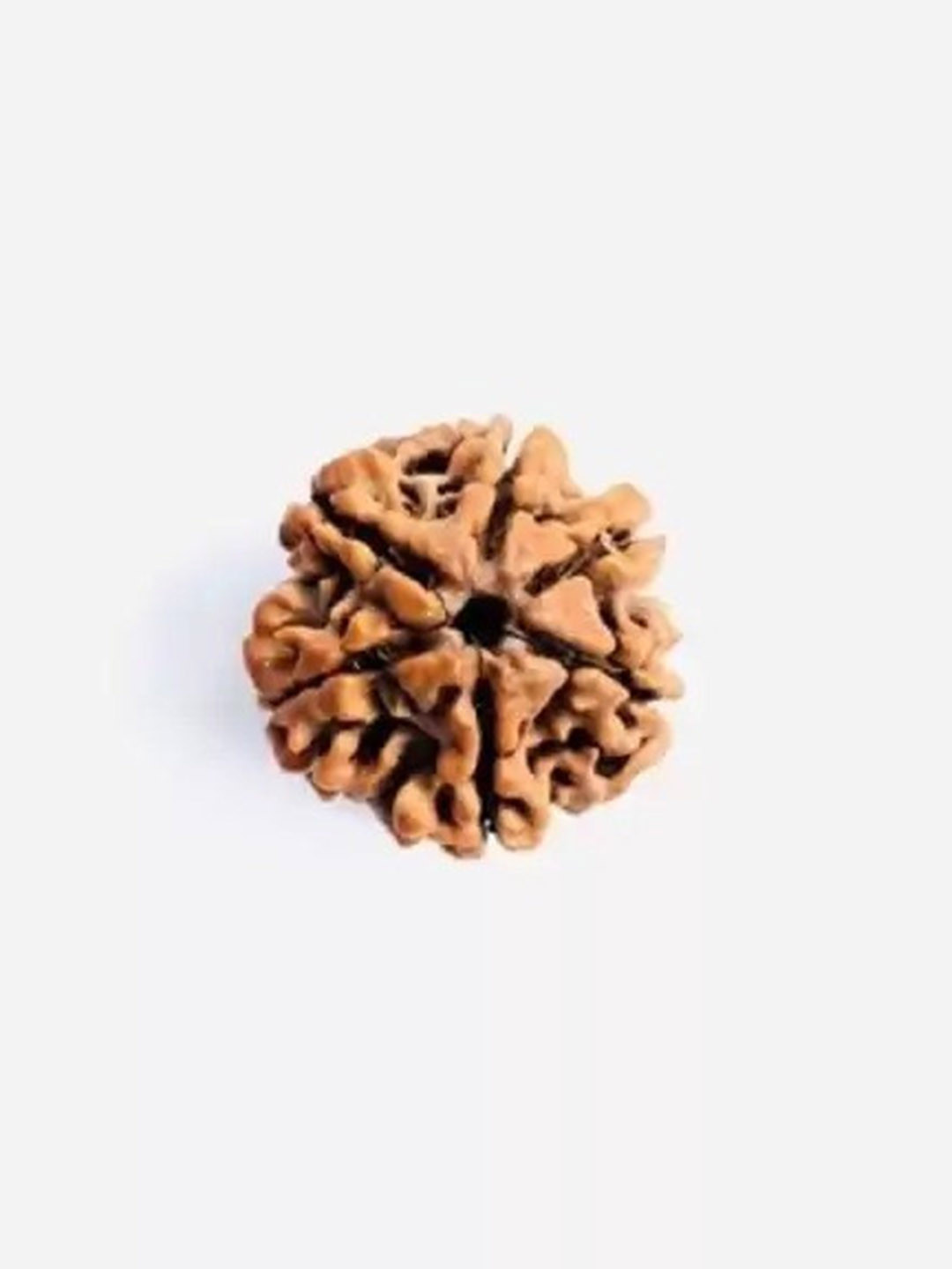 GenZcomplex Unisex Six Mukhi Contemporary Rudraksha Pendant