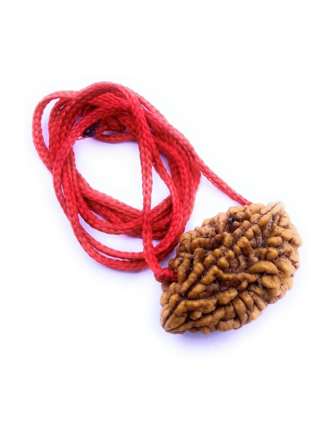 RAVIOUR LIFESTYLE 2 Mukhi Rudraksha Pendant with Chain