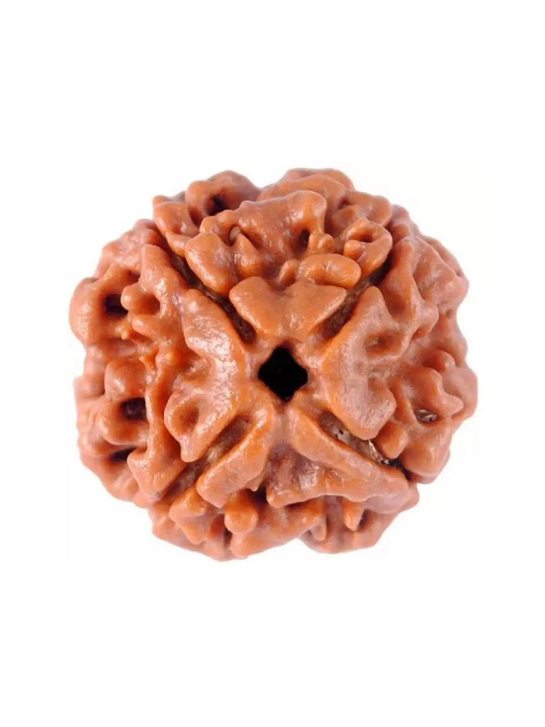 GenZcomplex Unisex 7 Mukhi Contemporary Shaped Rudraksha Pendant