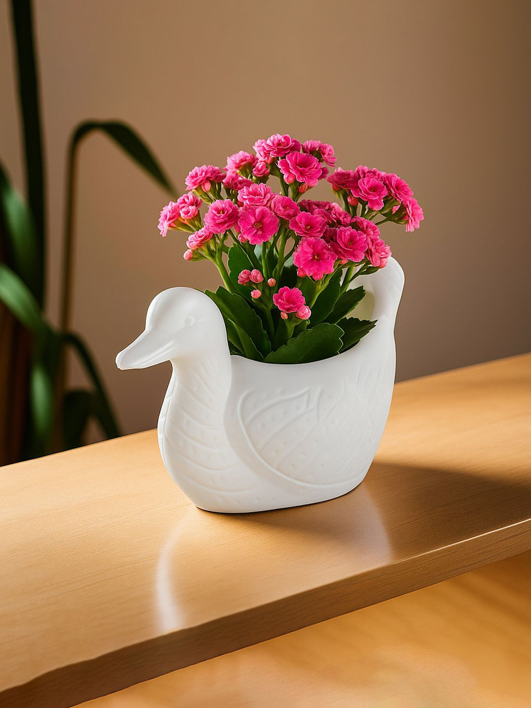 Kuber Industries White Duck Textured Planters