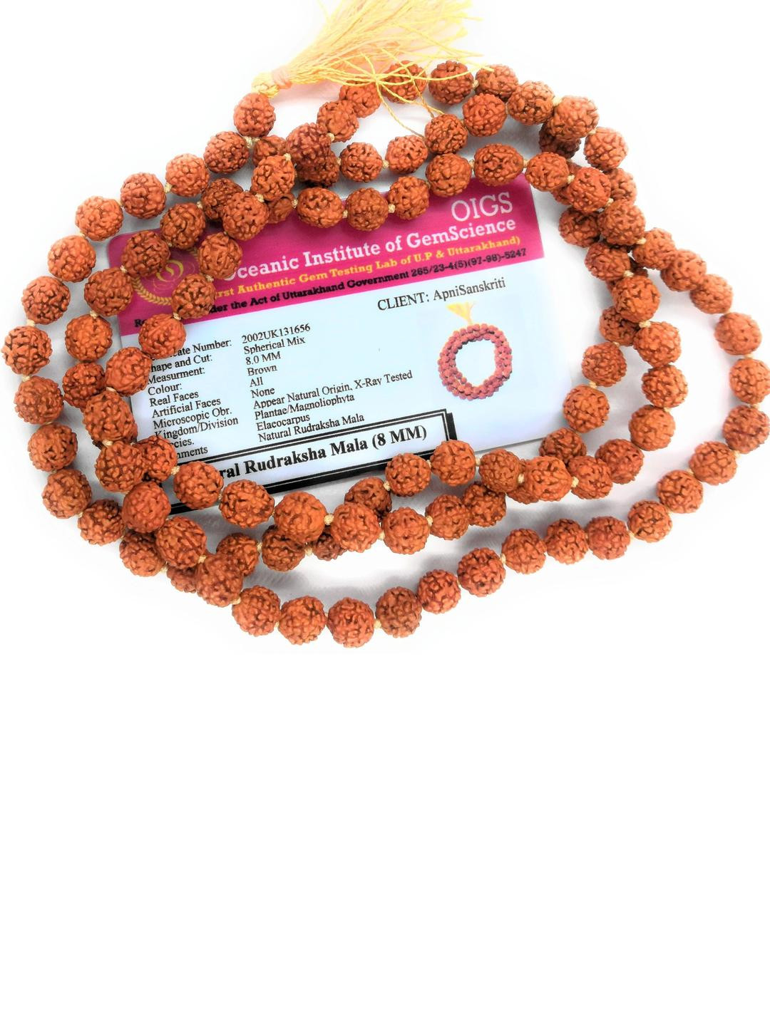 Divine souvenirs Unisex Shiva Mantra Chain