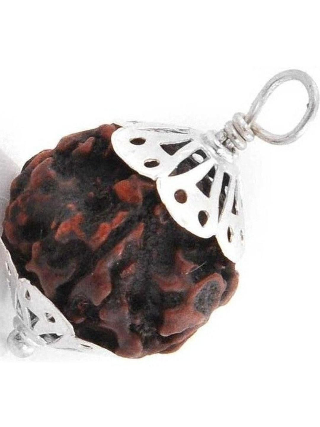 AURRA STORES 5 Mukhi Rudraksha Pendant
