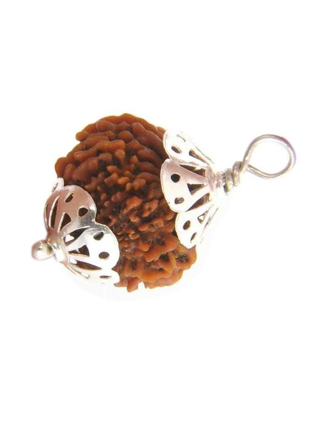 AURRA STORES Brown Panch Mukhi Rudraksha Circular Pendants
