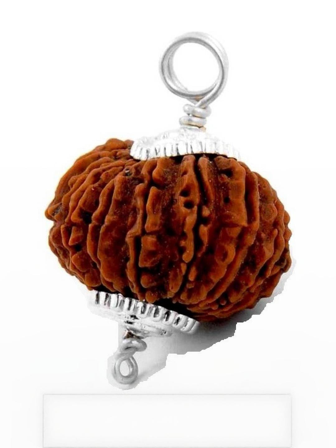 AURRA STORES Silver-Plated Capped Rudraksha Pendant