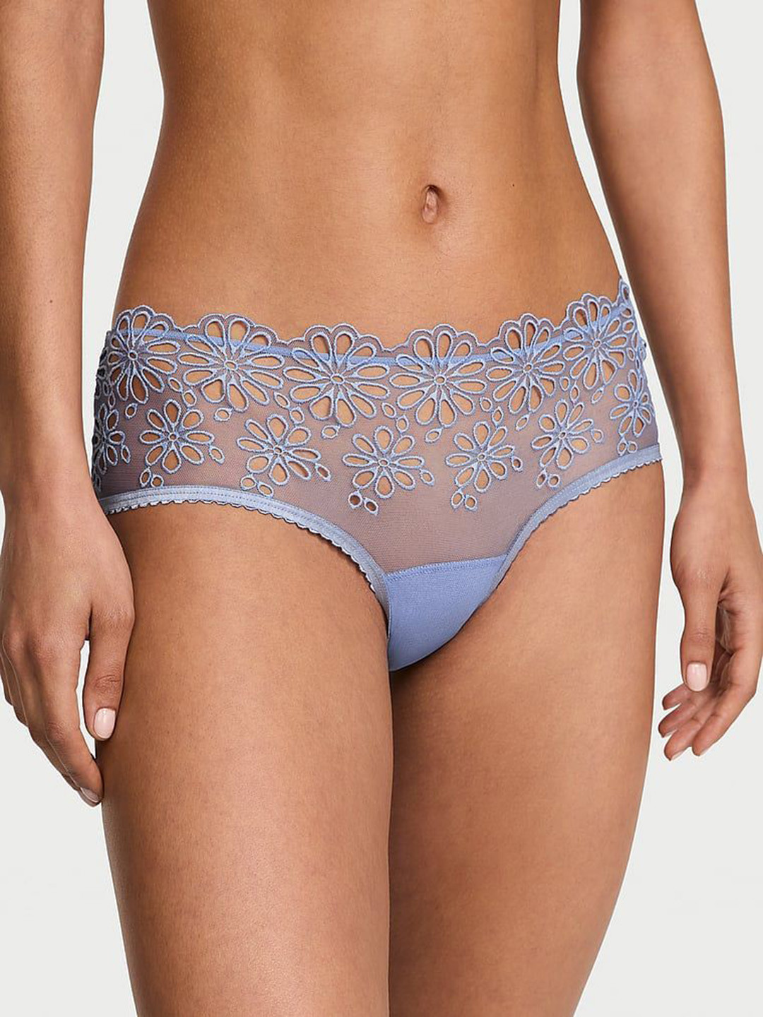 Victoria's Secret The Lacie Eyelet Cheeky Basic Briefs 1126536221M6