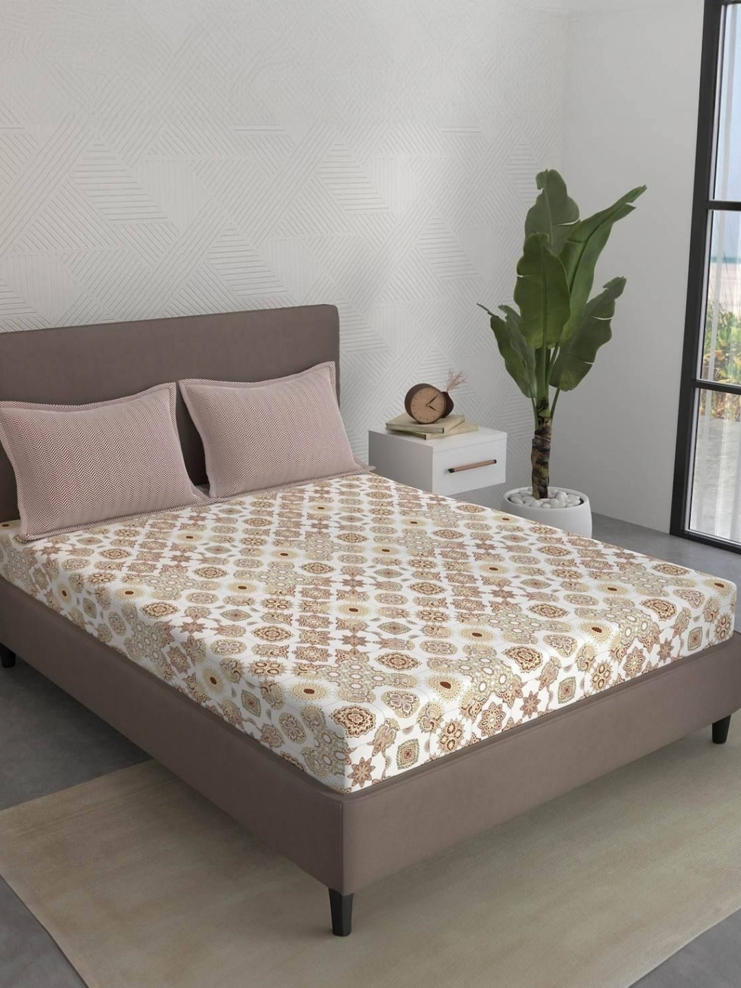 STELLAR HOME Brown 104 TC Skin-Friendly Queen Bedsheet Set 2.24 m x 2.74 m