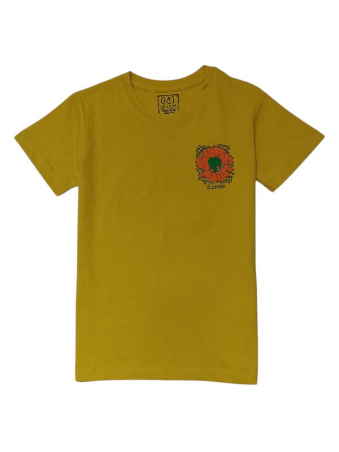 Gini and Jony Boys Graphic Printed Round Neck Cotton T-shirt