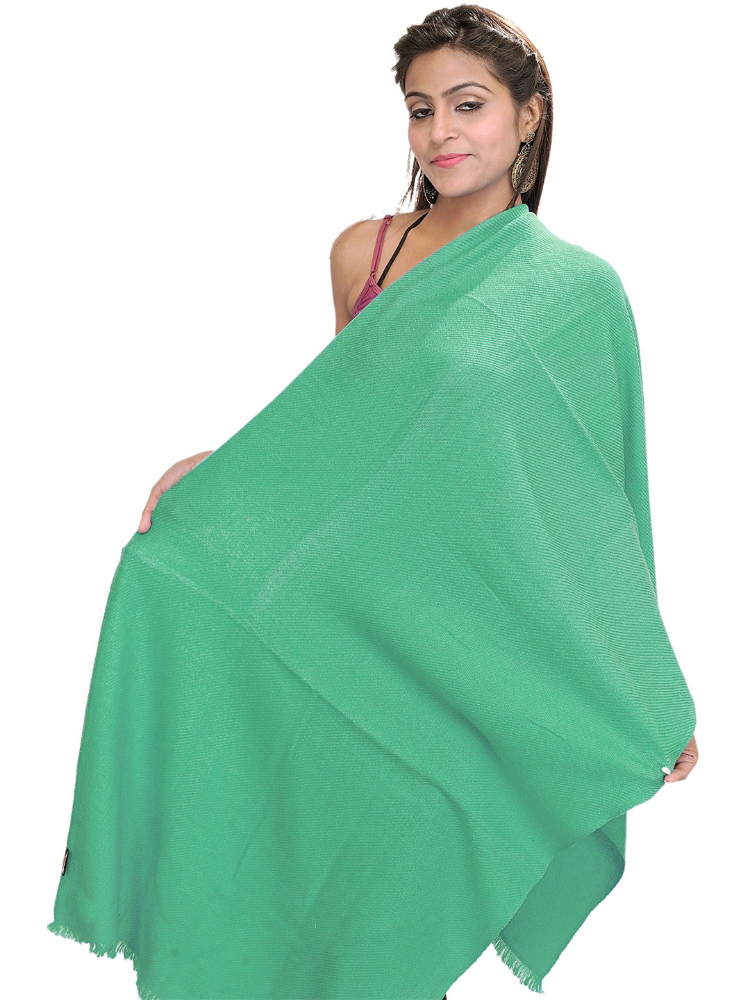 Exotic India Pure Pashmina Woollen Shawl