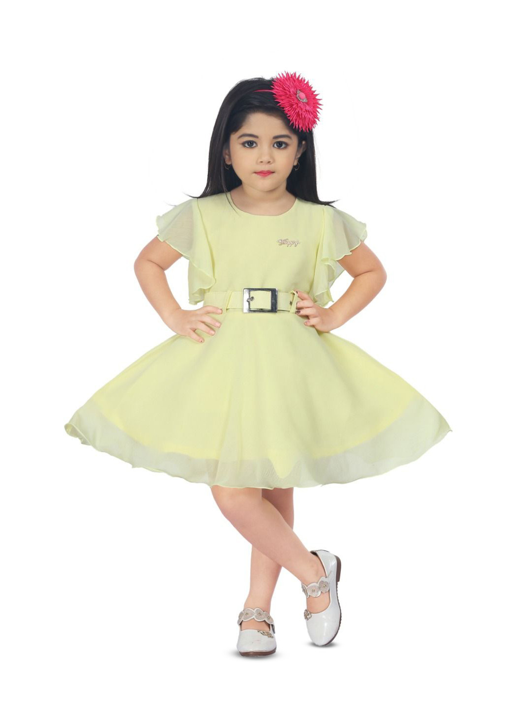 BARKAT DESIGNING PLANET Girls Flutter Sleeve Chiffon Fit & Flare Dress