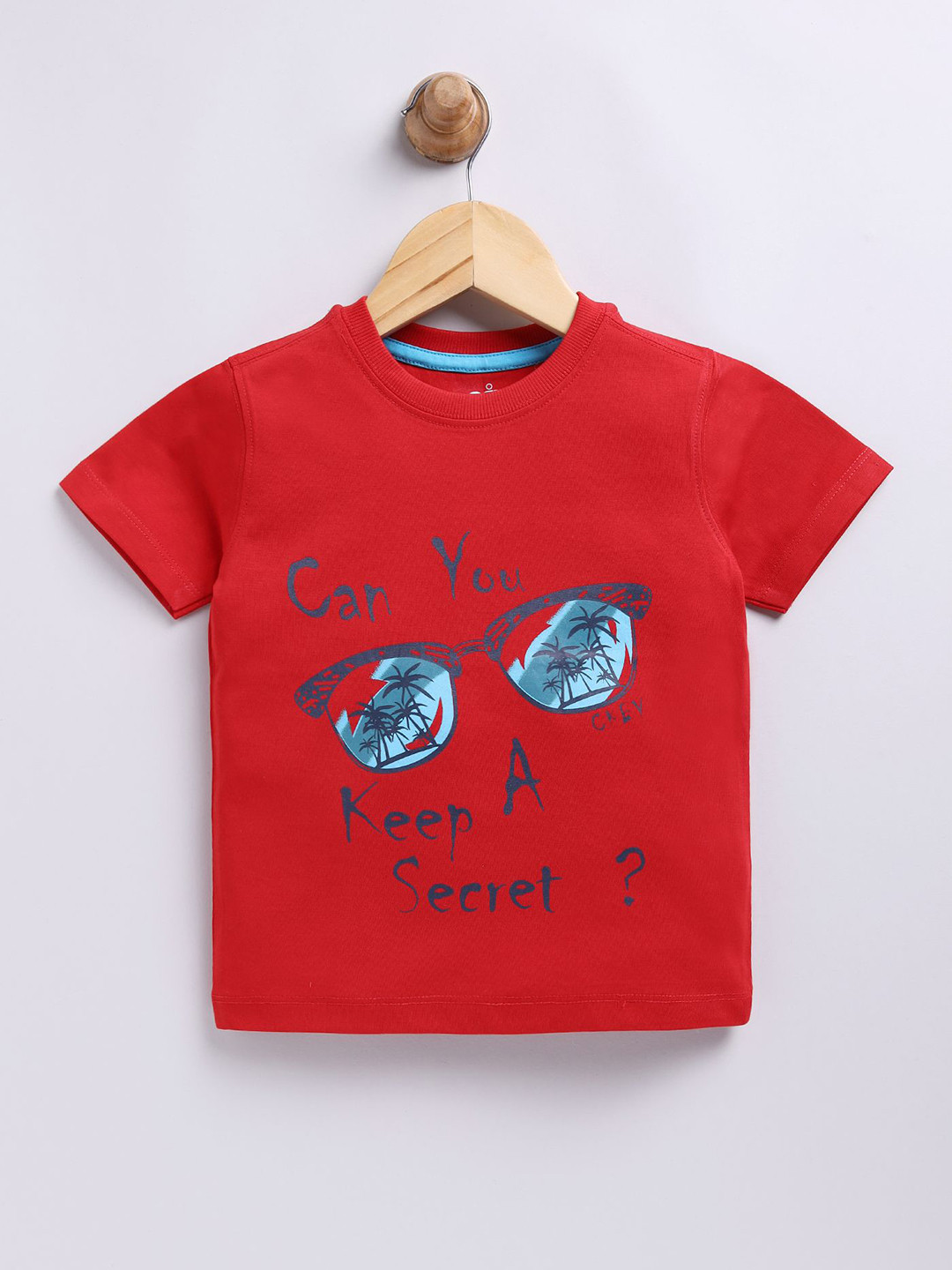 nit kid Boys Graphic Printed Round Neck Pure Cotton T-shirt
