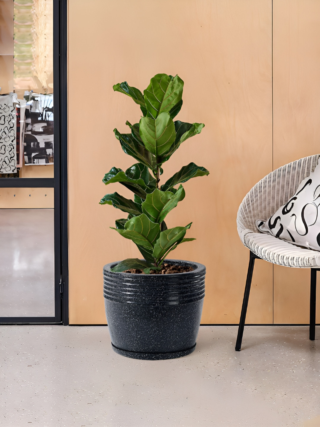 RUBOXA Black UV Protected Mould Flower Pot with Bottom Tray