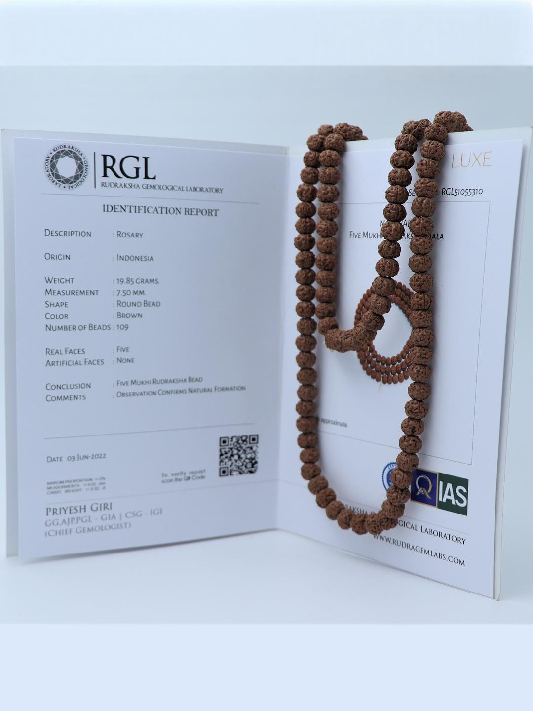 ShivaRatna Chikna/Pathri 108+1 Beads Rudraksha Mala