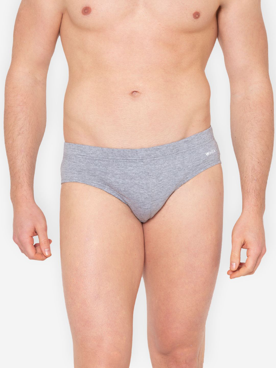 GROVERSONS Paris Beauty Basic Inner Elastic Brief-INNER ELASTIC BRIEF-ECRU GREY-S